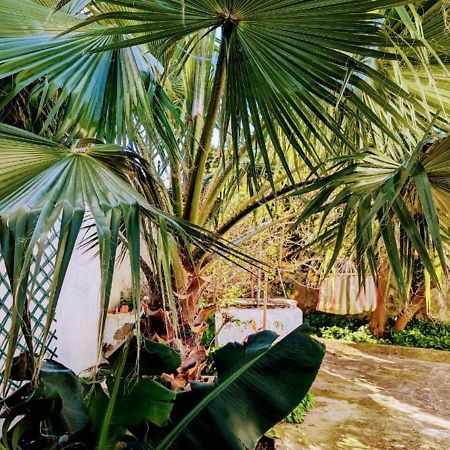 Cozy 3 Bedroom Home - Close To Beach Lourinha  Bagian luar foto