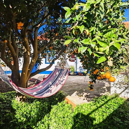 Cozy 3 Bedroom Home - Close To Beach Lourinha  Bagian luar foto