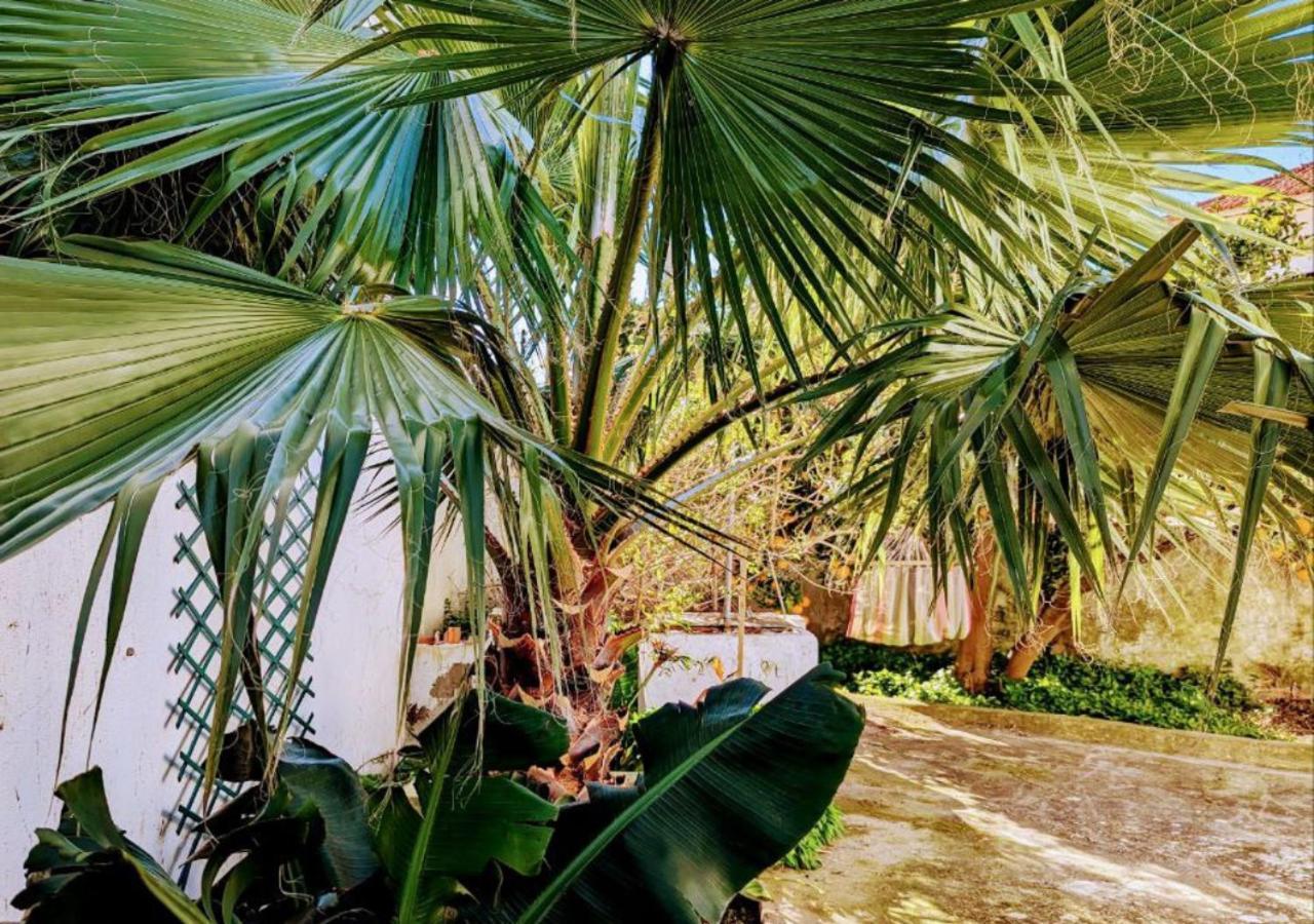 Cozy 3 Bedroom Home - Close To Beach Lourinha  Bagian luar foto