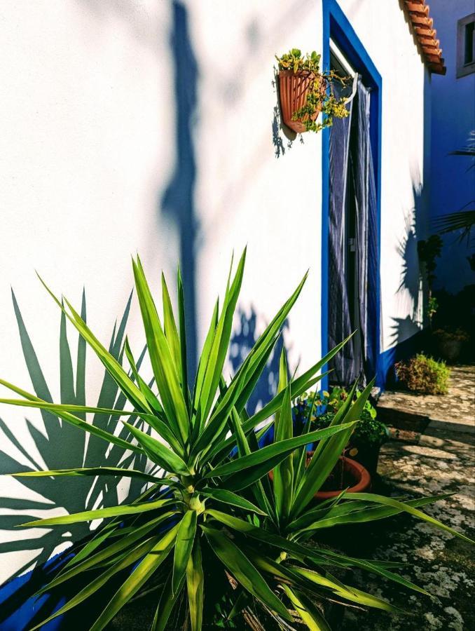 Cozy 3 Bedroom Home - Close To Beach Lourinha  Bagian luar foto
